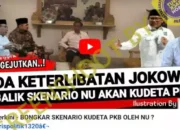 Hoaks Jokowi Terlibat Skenario Kudeta PKB oleh NU