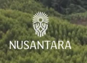 IKN Kantongi 5 Investor Baru, Ini Daftarnya