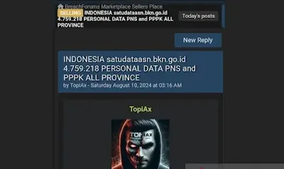 Data BKN Bocor Diretas, Sampel Data Pribadi PNS-PPPK Disebar