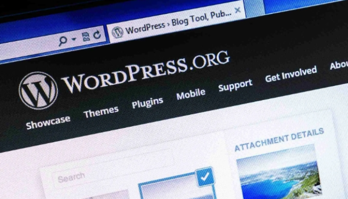 Kemenkominfo RI Sempat Blokir Situs WordPress, Simak Penjelasan Lengkapnya