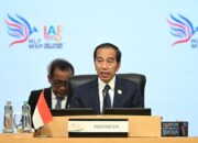 4 Poin Utama Presiden Jokowi di Indonesia Africa Forum (IAF) 2024 Bali