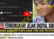 Hoaks Gibran Gagal Dilantik Usai Terbongkar Pernah Hina Prabowo
