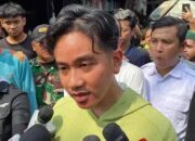 Gibran soal Akun Fufufafa : Tanya yang Punya Akun