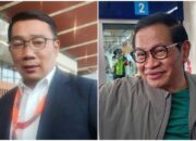 Jadi Sorotan Rebutan Suara, Pendukung Anies ke Ridwan Kamil ! Tapi Partai Ummat ke Pramono