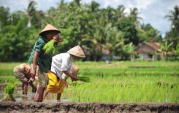 Hari Tani Nasional Angkat Isu Tangkap & Adili Jokowi, Aktivis : Justru Ini Kelompok Sontoloyo