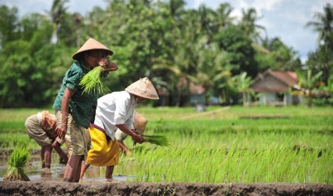 Hari Tani Nasional Angkat Isu Tangkap & Adili Jokowi, Aktivis : Justru Ini Kelompok Sontoloyo