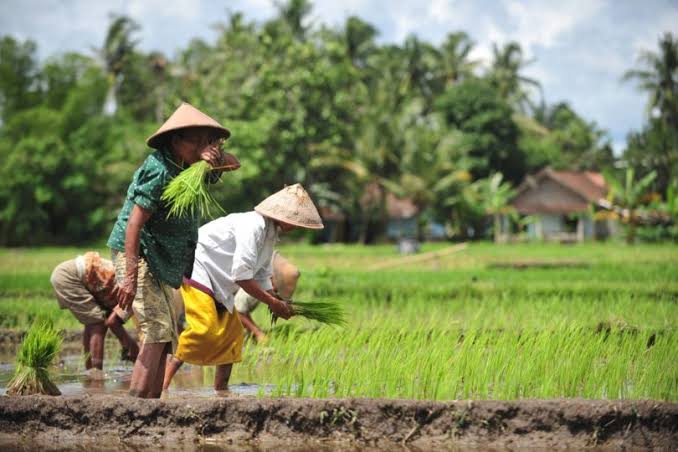 Hari Tani Nasional Angkat Isu Tangkap & Adili Jokowi, Aktivis : Justru Ini Kelompok Sontoloyo