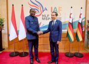 Jokowi Jajaki Kerjasama Pertambangan Litium & Bidang Farmasi dengan Zimbabwe
