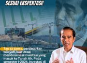 Investasi Luar Jawa Kini Mendominasi, Melonjak Pesat di Era Jokowi