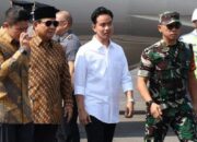 Jika Gugatan PDIP ke PTUN Dikabulkan, Pakar : Bisa Jadi Bahan Impeachment Gibran