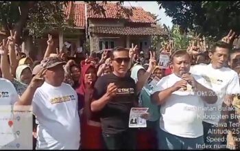 GERTAK dan Masyarakat Brebes masif menangkan Kotak Kosong Pilkada Brebes