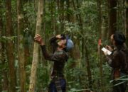 Peran Masyarakat Adat dalam Konservasi Keanekaragaman Hayati: Suara Dari Kalimantan di COP 16 CBD