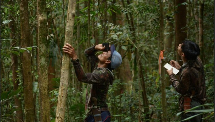 Peran Masyarakat Adat dalam Konservasi Keanekaragaman Hayati: Suara Dari Kalimantan di COP 16 CBD