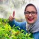 Obituari: Marissa Haque Artis Serba Bisa Meninggal Dunia di Usia 61 Tahun