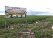 Pemerintahan Prabowo-Gibran Diminta Kaji Ulang Food Estate