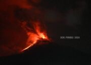 Gunung Lewotobi Erupsi, 10 Korban Tewas Tertimpa Batu