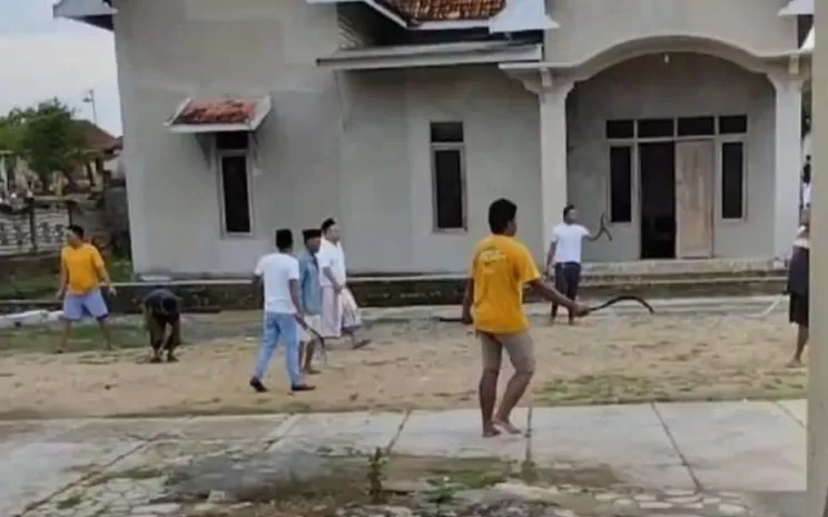 Pilkada Sampang Mencekam! PKB : Tak Ada Pesta Demokrasi Seharga Nyawa Manusia