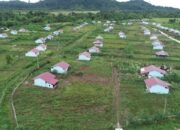 Pro Kontra Program Transmigrasi Prabowo di Tanah Papua