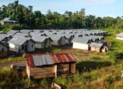 Masyarakat Jayapura Tak Dukung Seruan KNPB soal Aksi 15 November 2024, Tokoh Adat: Rakyat Papua Jangan Salah Kaprah dengan Transmigrasi