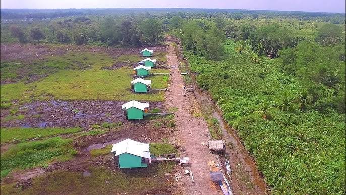 Pro Kontra Transmigrasi di Papua