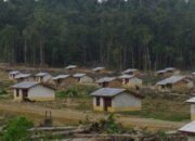 Program Transmigrasi Prabowo di Papua Tuai Penolakan