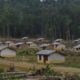 Pengamat : Program Transmigrasi di Papua Bisa Menjadi Sebuah Kemunduran