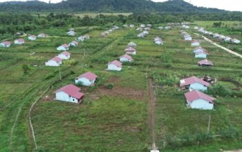 Demi Masa Depan yang Lebih Cerah, Tokoh Lokal Papua Dukung Transmigrasi