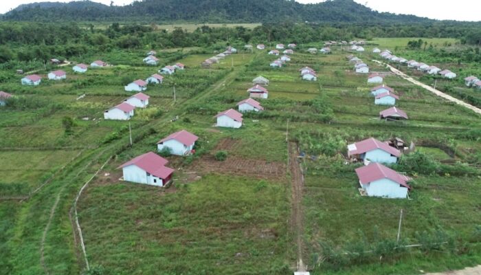Program Transmigrasi Masih Dibutuhkan Papua