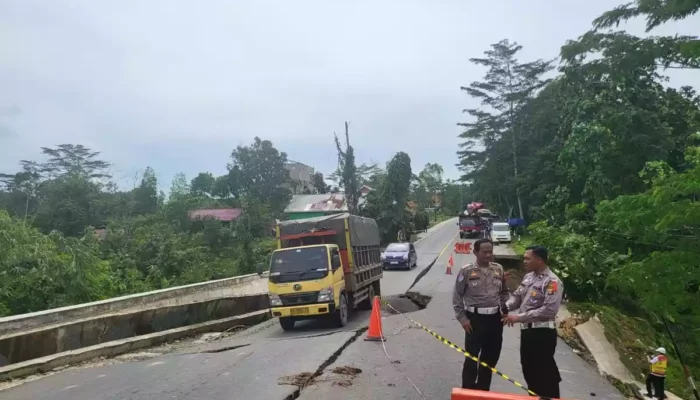 Banjir Hingga Jalan Terbelah, Greenpeace Desak Setop Pembangunan IKN