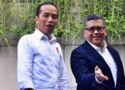 Tudingan Cawe-Cawe Jokowi di Kasus Hasto Tak Punya Dasar Kuat
