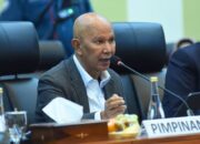 PPN 12 Persen untuk Sistem Perpajakan yang Lebih Adil