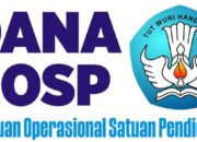 Kemendikdasmen Salurkan Dana BOSP 2025 di Bulan Januari