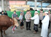 Kapolri Dukung Kegiatan Guru Sekumpul, Sumbang 4 Sapi Limousin