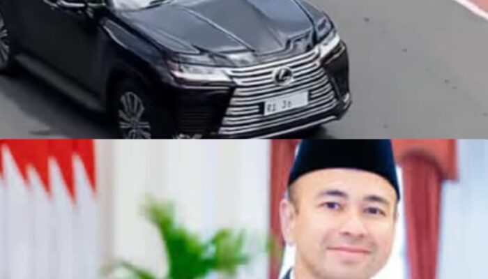 Terungkap! Raffi Ahmad Pemilik Mobil RI 36 Yang Viral