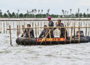 Jokowi Tak Terkait dengan Pagar Laut Tangerang