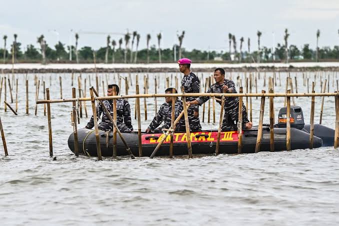 Jokowi Tak Terkait dengan Pagar Laut Tangerang