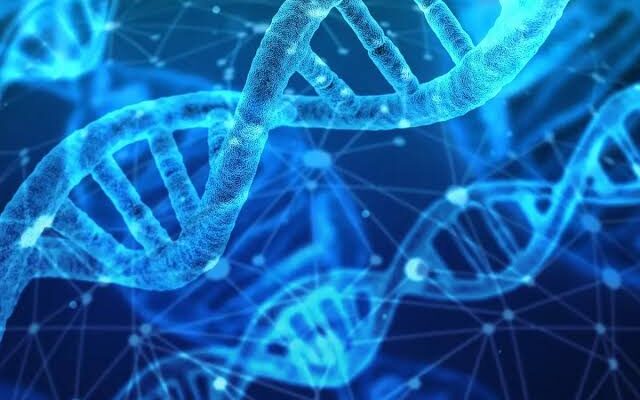 Ketika DNA Tidak Sinkron dengan Ilmu dan Akhlak