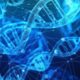 Ketika DNA Tidak Sinkron dengan Ilmu dan Akhlak