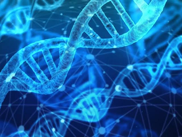 Ketika DNA Tidak Sinkron dengan Ilmu dan Akhlak