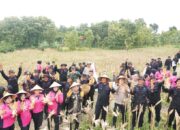Polda Jateng Panen Raya Jagung 9 Ton di 2 Hektar Lahan, Sukses Jalankan Program Ketahanan Pangan Polri