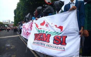 BEM SI