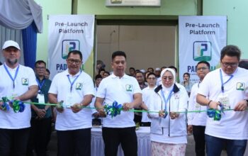 Padigital Manfaatkan Teknologi Blockchain Untuk Bantu Petani