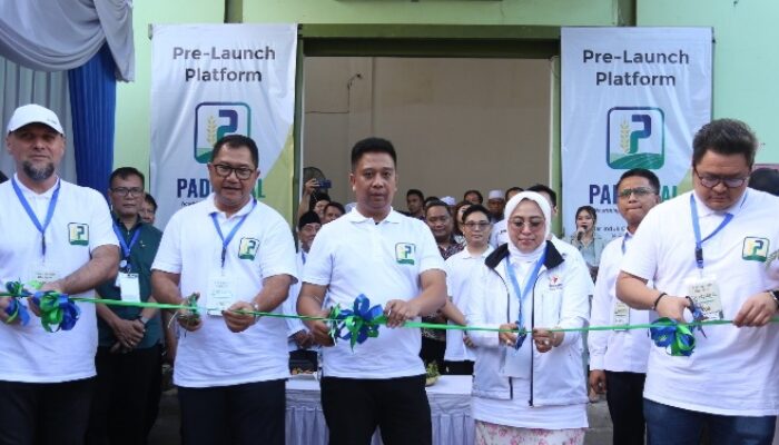 Padigital Manfaatkan Teknologi Blockchain Untuk Bantu Petani