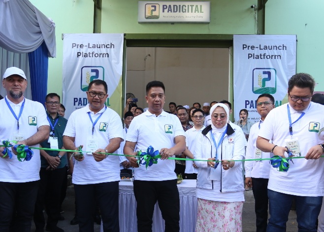 Padigital Manfaatkan Teknologi Blockchain Untuk Bantu Petani