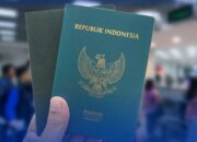 Viral #KaburAjaDulu Buat DPR Hingga Menteri P2MI Angkat Bicara