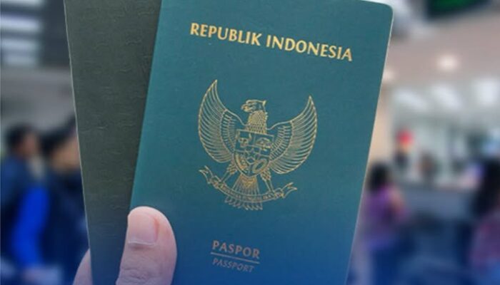 Viral #KaburAjaDulu Buat DPR Hingga Menteri P2MI Angkat Bicara
