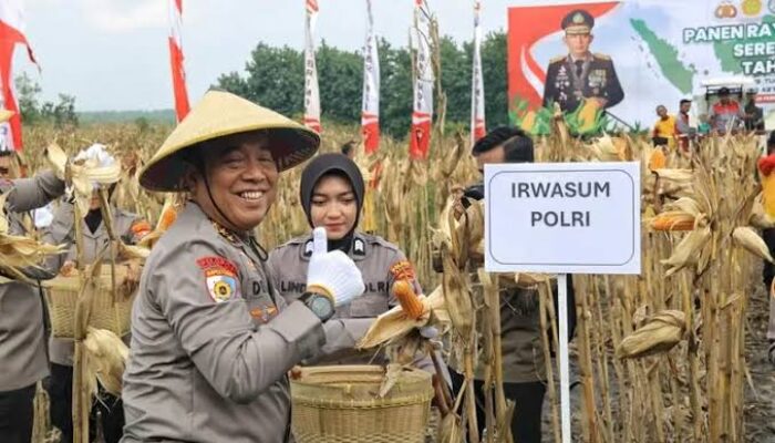 Irwasum Polri bersama Wamentan Pimpin Panen Raya Jagung Serentak di Madiun