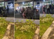 Oknum TNI Hancurkan Markas Polres Tarakan Harusnya Dihukum Berat Karena Cederai Negara