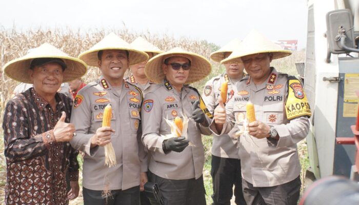 Kapolda Jatim Pimpin Panen Raya Jagung Hibrida di Sidoarjo