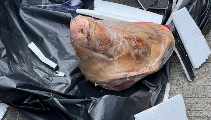 Usai Kepala Babi, Kantor Tempo Dapat Surprise Lagi Bangkai Hewan Tikus